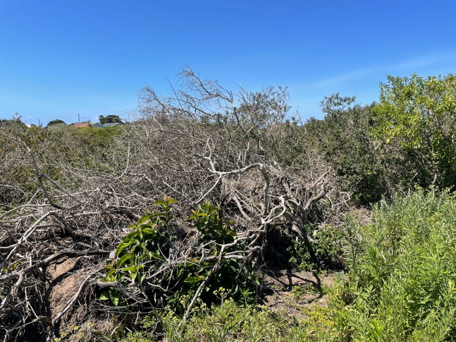 0 Bedroom Property for Sale in Forest Downs Eastern Cape